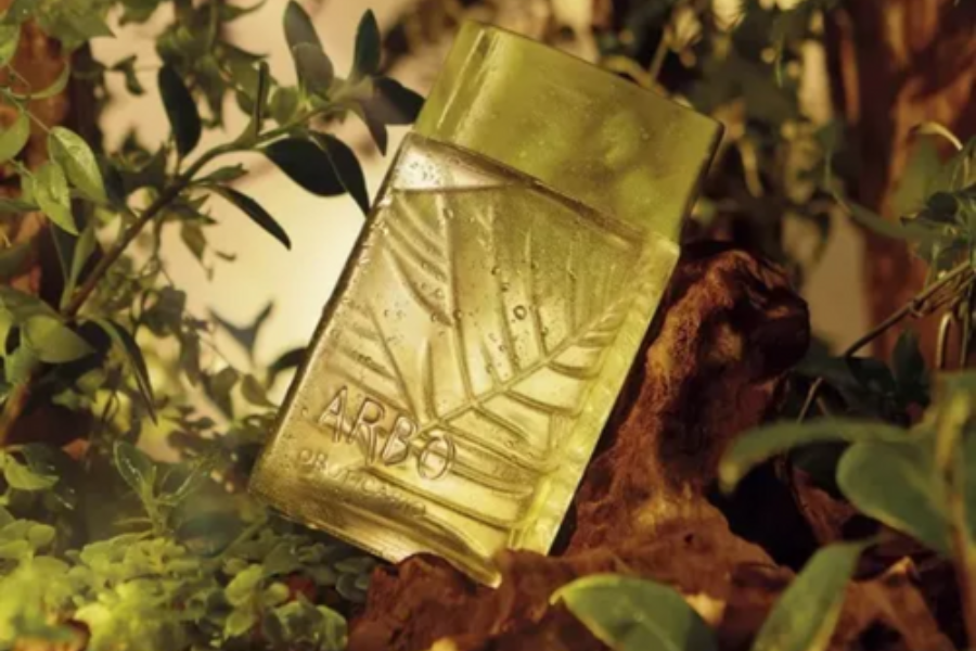 perfume arbo é bom